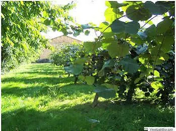 Au Chateau - 2* Saint-Nicolas-de-la-Grave