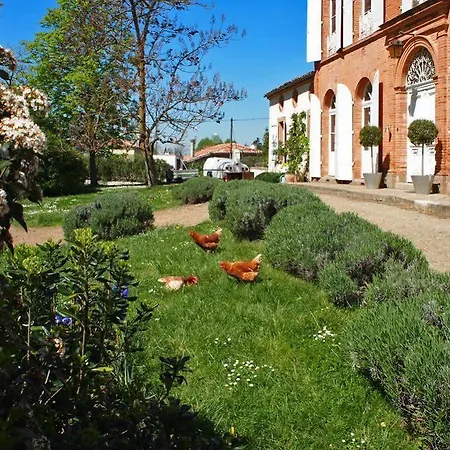 Au Chateau - Saint-Nicolas-de-la-Grave